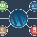 Wordpress网站都应该知道的5个seo工具