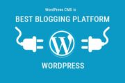 Wordpress Cms是最适合您的博客平台