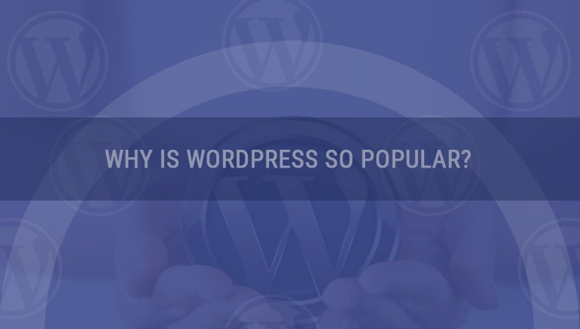 为什么wordpress如此受欢迎？